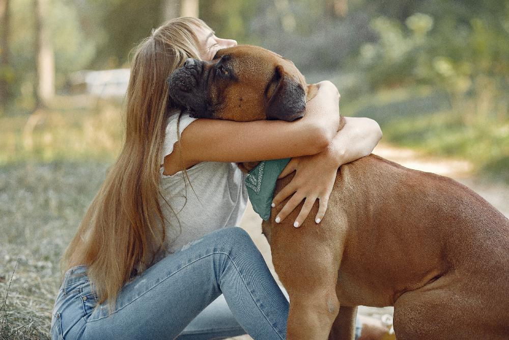 Cachorro: o melhor antidepressivo natural? Estudo de Harvard surpreende!