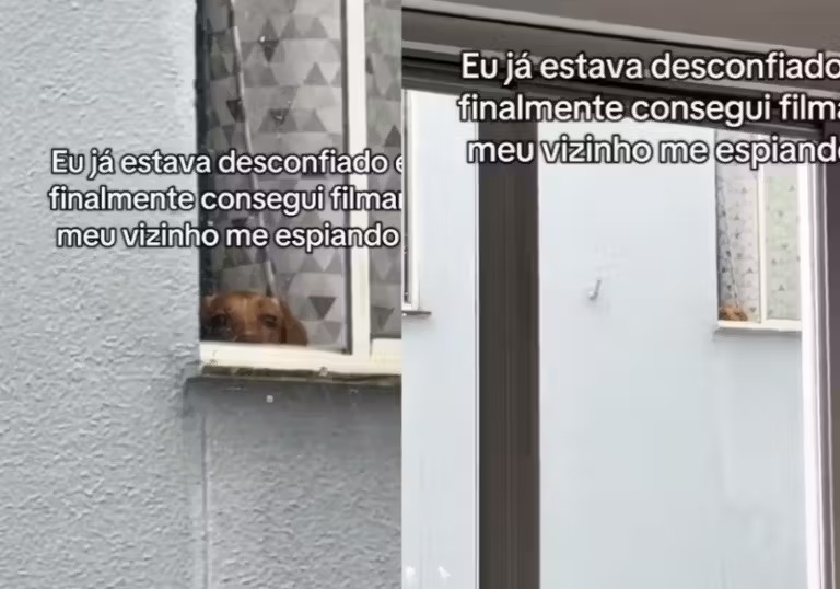 Câmera flagra cachorrinho que espia vizinho humano pela janela e depois se esconde