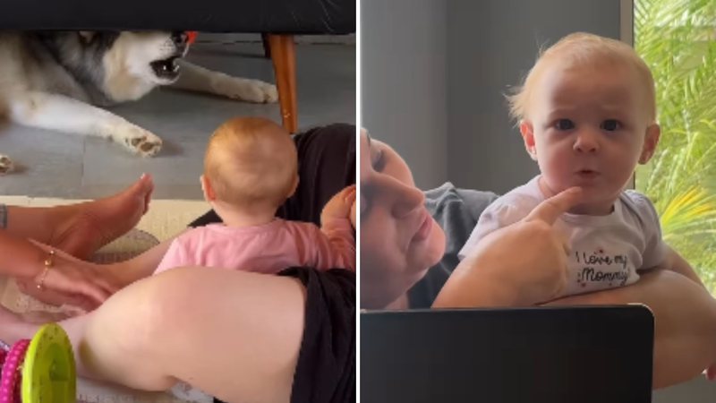 Cachorro ensina bebê a uivar e o vídeo do momento faz internautas se divertirem