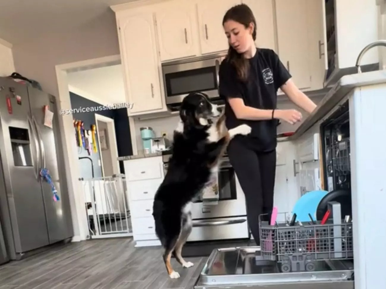 Anjo da guarda: cachorro de serviço sente “cheiro de desmaio” e salva sua tutora