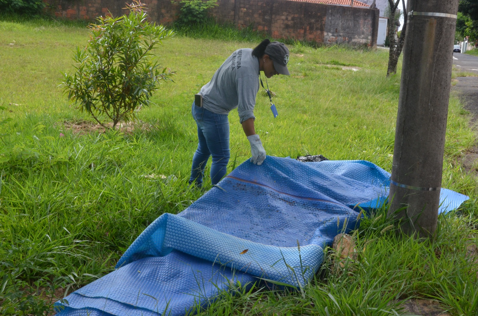 Franca intensifica combate à dengue com Dia “D” neste sábado, 22