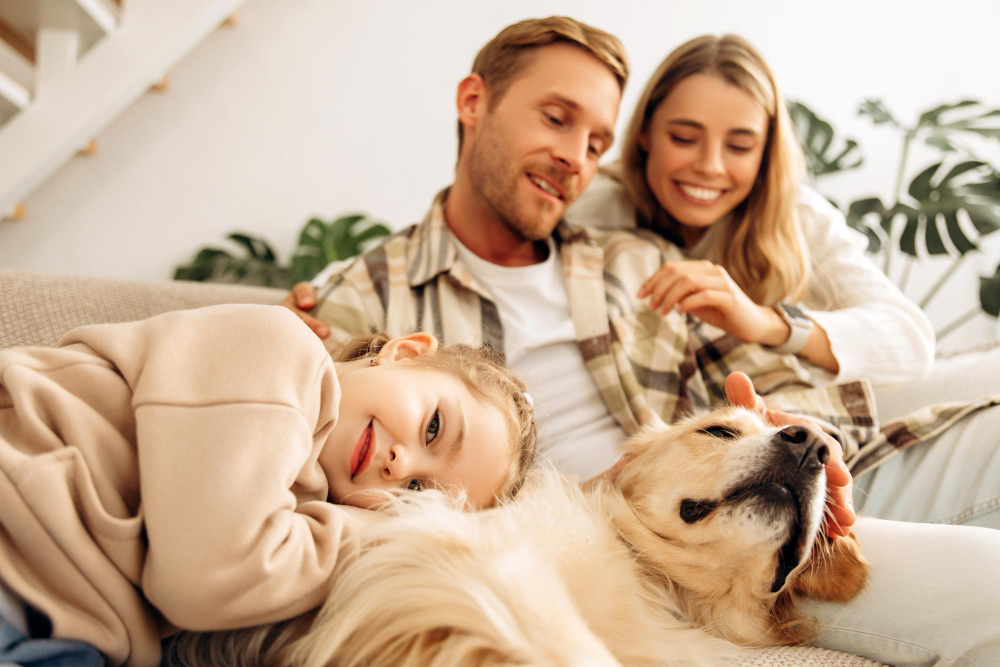 Pets conquistam cada vez mais direitos e já são reconhecidos como membros da família