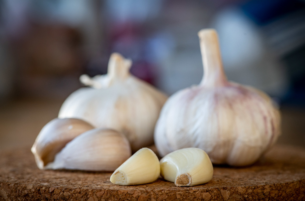 Aprenda a cultivar alho em casa ou apartamento e colha temperos frescos o ano todo