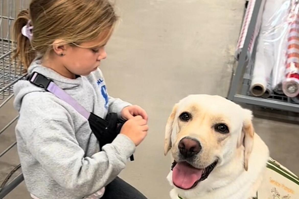 Ao perceber o que estava acontecendo, cão pula em cima de menininha e evita o pior