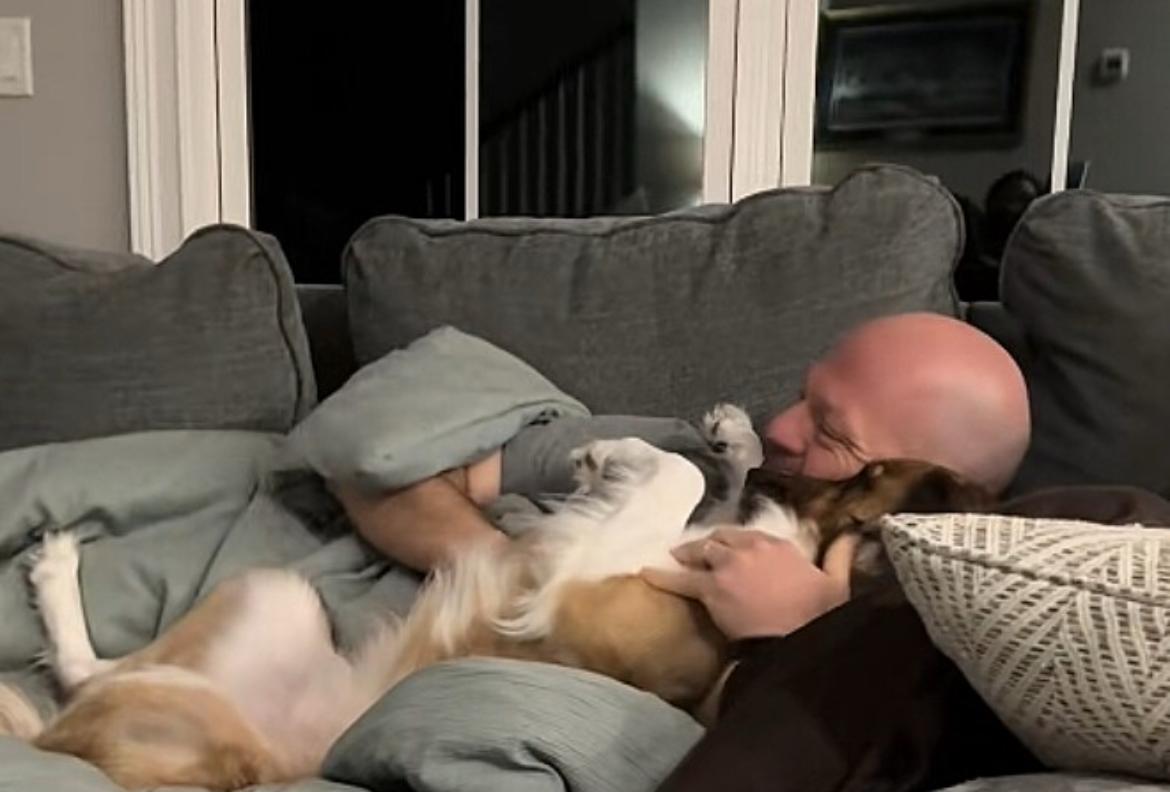 Apaixonados por pets se encantam com atitude de cachorro ao ver tutor deitar no sofá