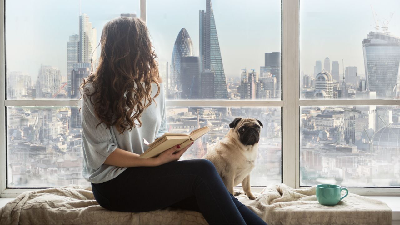 Tem pet em apartamento? Veja como vencer os principais desafios