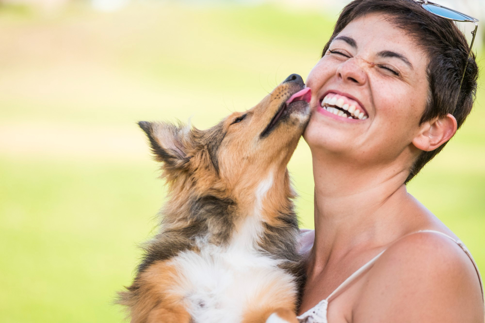 Será que os cães têm um dono preferido? Entenda como é o vínculo afetivo dos pets