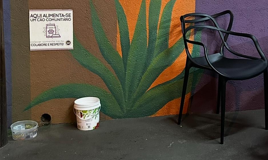 Loja do Açaí Raiz dá exemplo de como respeitar e tratar os animais comunitários