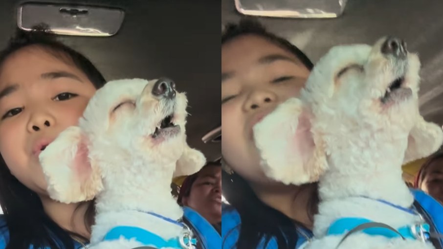 Cão faz dueto sincronizado com criança e viraliza cantando sucesso de Bruno Mars