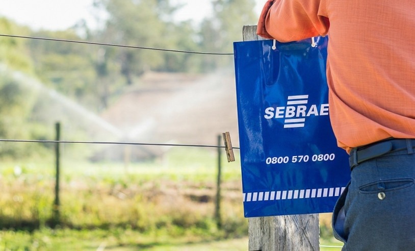 Programa de Inovação Sebrae tem 90 vagas para produtores rurais na região de Franca