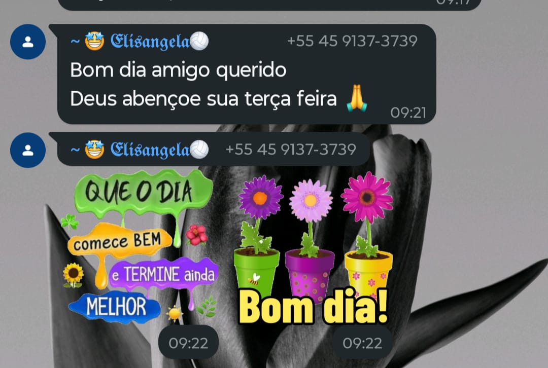 Ainda manda ‘bom dia’ no WhatsApp? Veja o que isso revela sobre você!