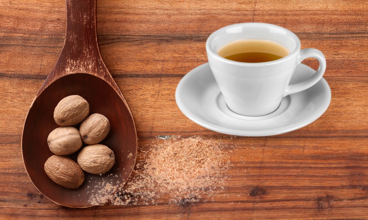 Conheça o chá antioxidante ajuda a melhorar memória e sono, além de aliviar dor