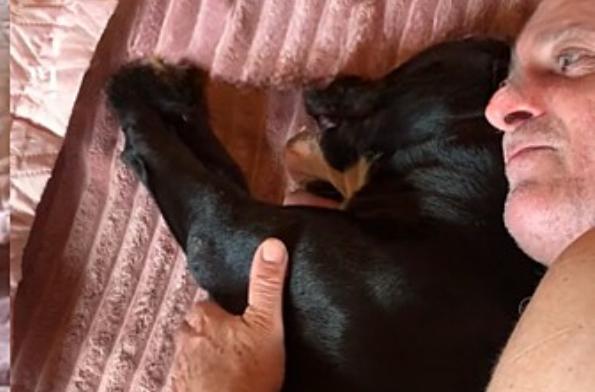 Pai que queria doar cachorro é visto pelo filho cantando canção de ninar para o pet
