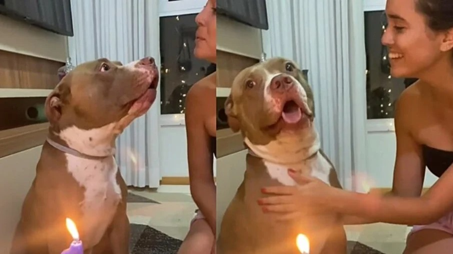 Pitbull derruba a internet ao cantar ‘parabéns’ em sua festa de aniversário