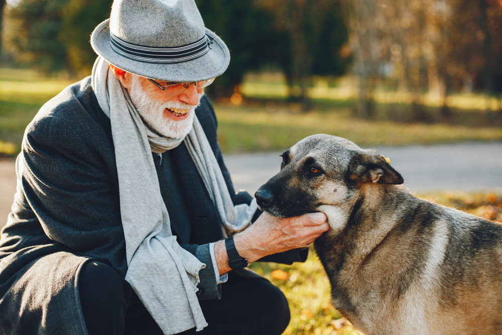 Animais de estimação proporcionam qualidade de vida para pessoas na terceira idade