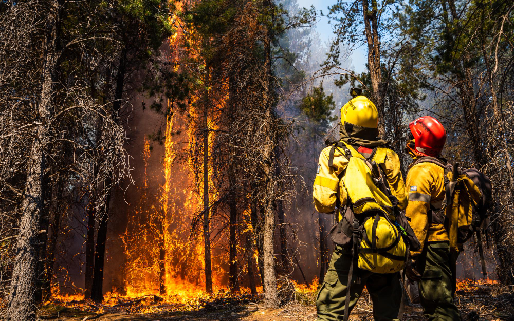 Franca poderá ter Brigada de Incêndio Ambiental para prevenção e combate ao fogo