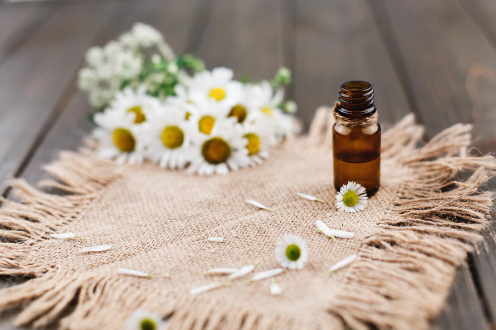 Conheça o poder da erva mais potente contra a ansiedade e a insônia natural