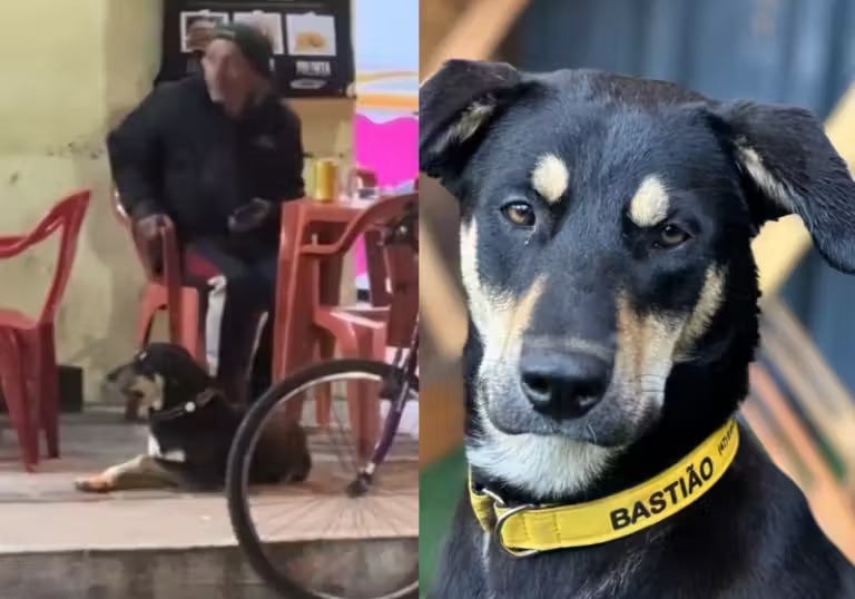 Cachorro que foge para ir ao bar fica famoso e tem convite para publicidade