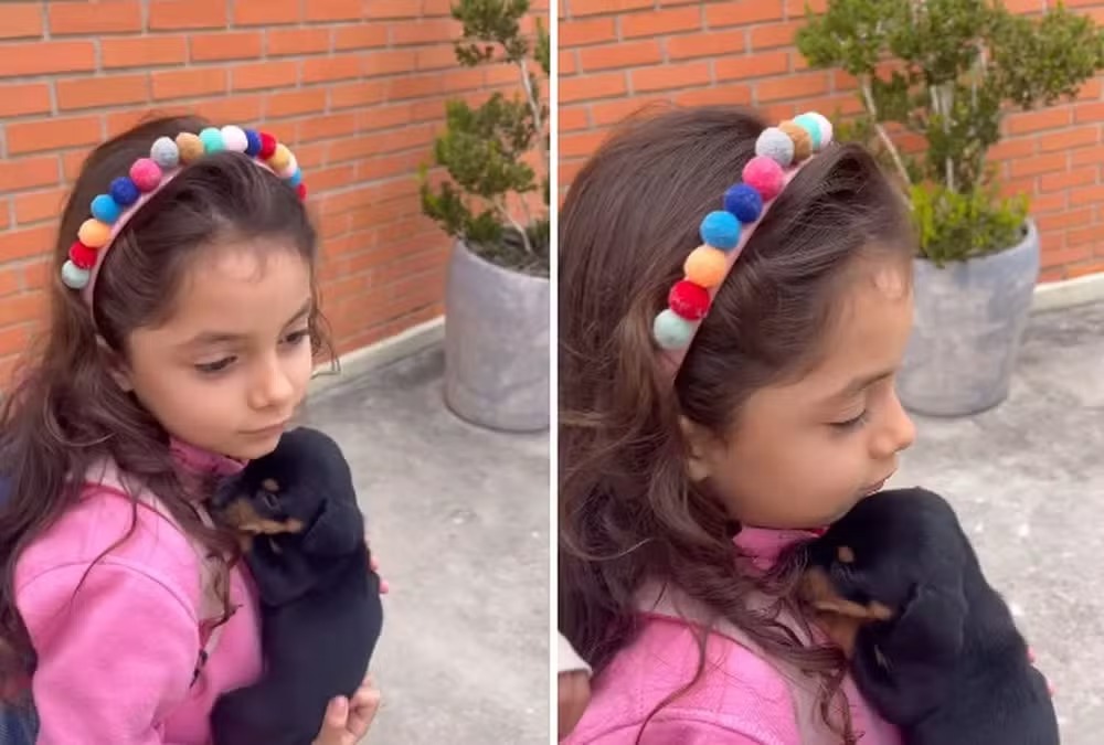 Menina leva pet para a escola escondido na mochila. Veja como a professora descobriu