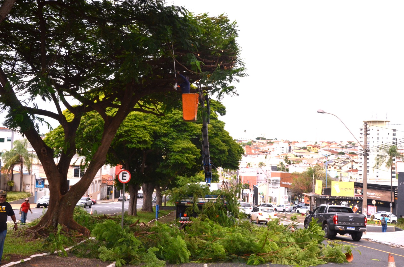 Franca acelera podas de árvores e amplia manutenção em áreas públicas