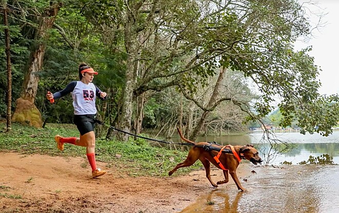 Turista vai fazer trilha com o cão e descobre que o guia era outro doguinho