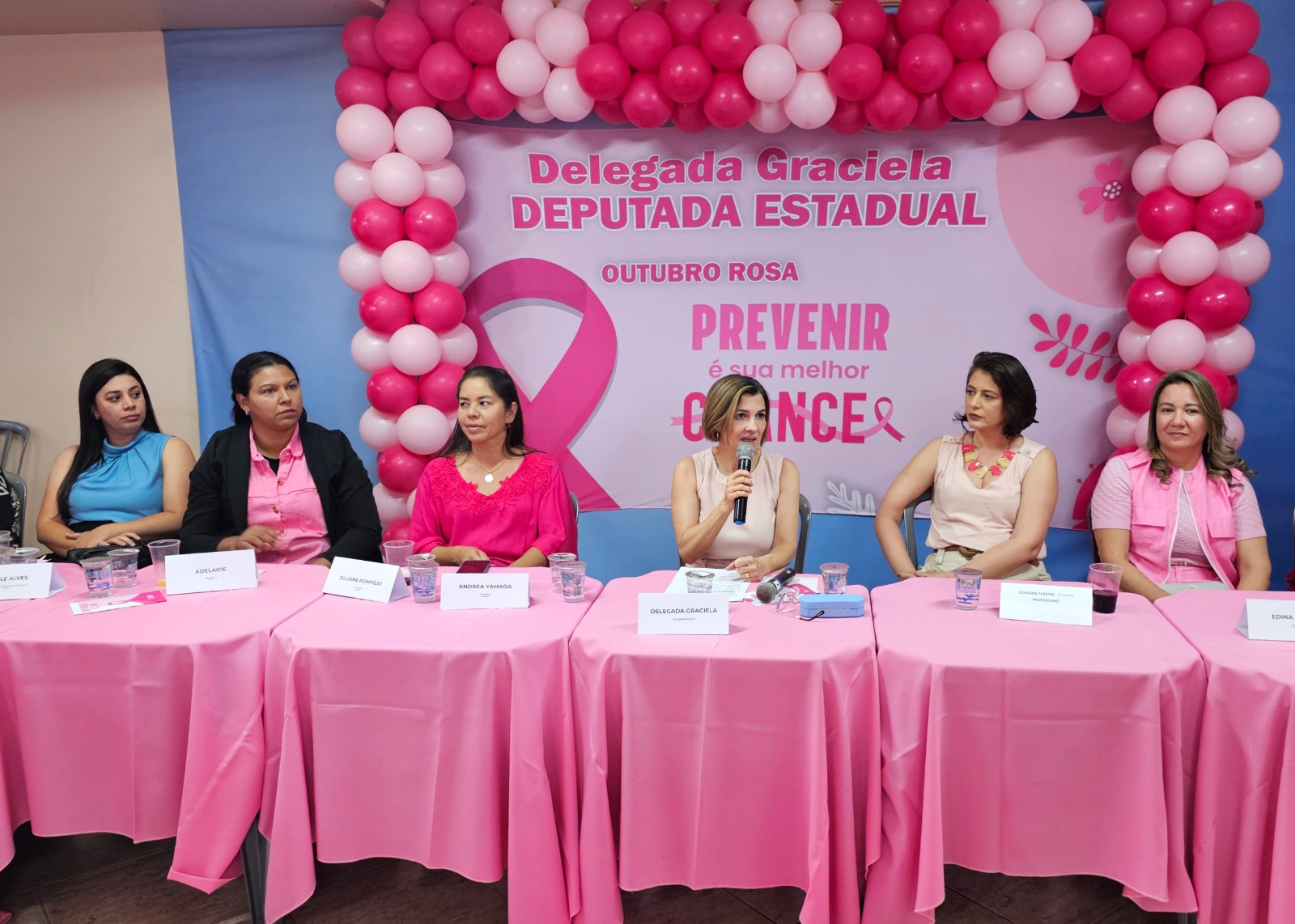 Deputada Graciela reúne em Franca mulheres de 38 cidades em ato sobre câncer de mama