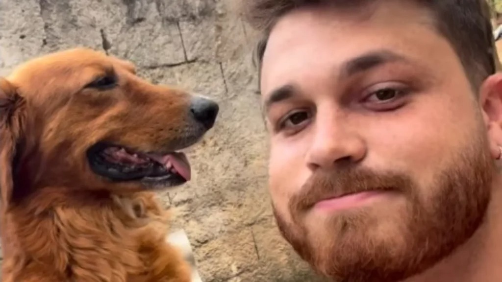 Veja a importância do apoio emocional dos animais de estimação em momentos de crise