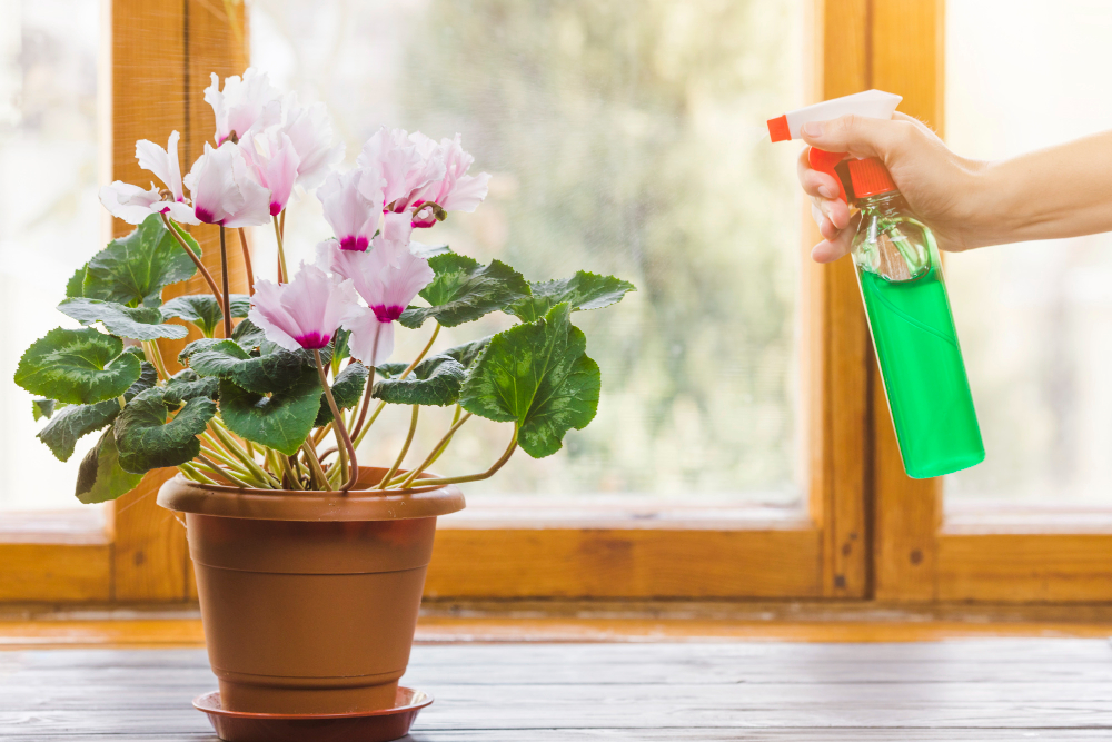 Apenas 1 xícara por mês: o segredo para que flores e raízes floresçam o ano todo