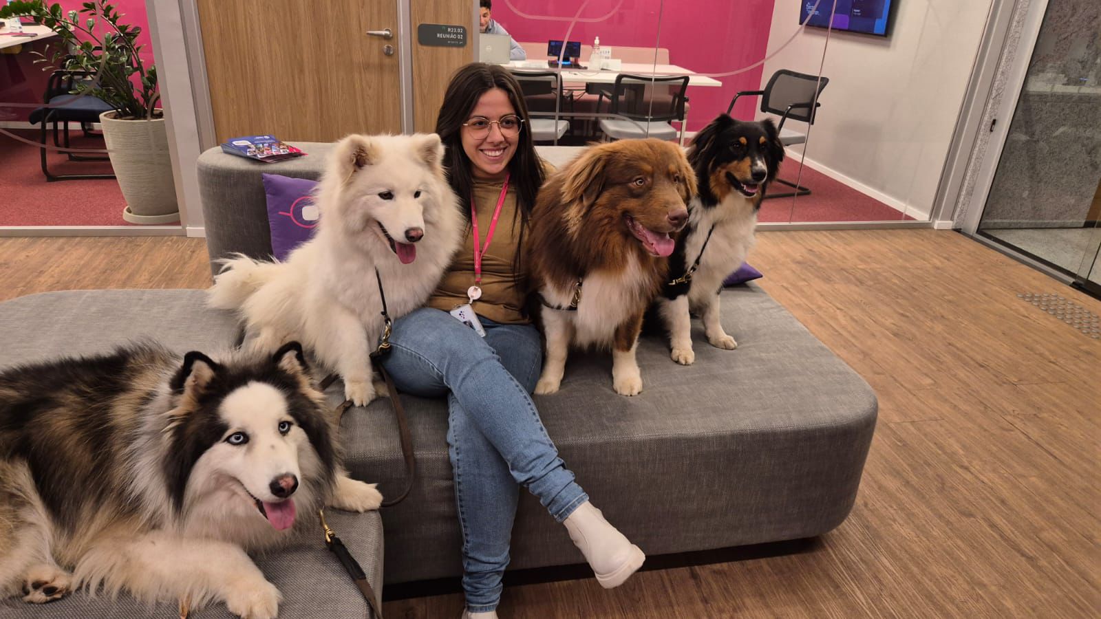 Cães levam bem-estar e empatia ao escritório da Serasa no mês da saúde mental