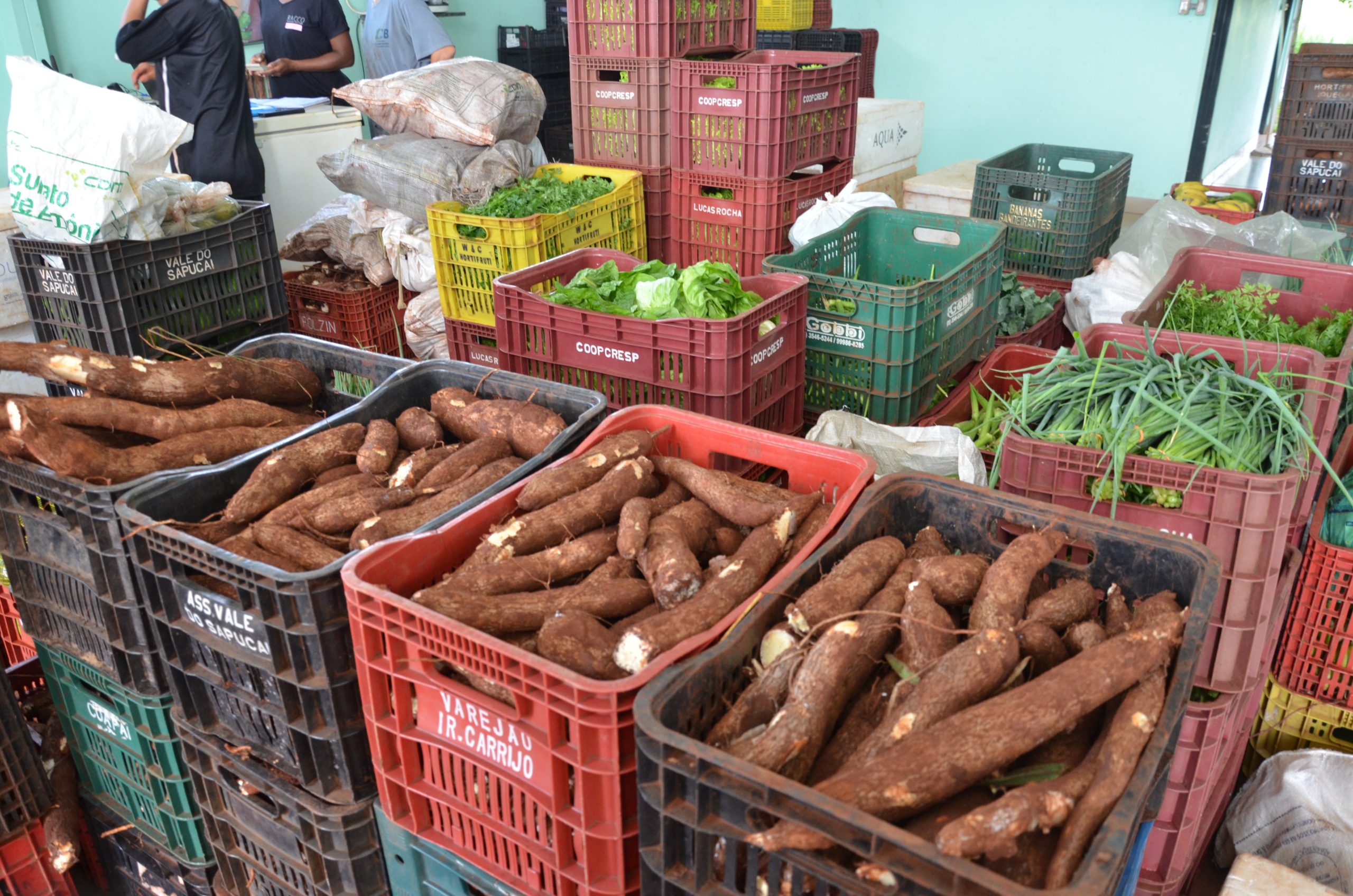 Banco de Alimentos de Franca amplia distribuição e chega a 59 toneladas em 2025