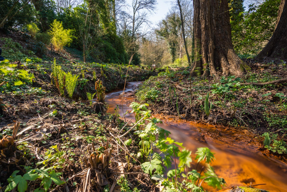 Sesc Franca e Unesp vão ministrar um curso que analisa a crise ambiental no Brasil