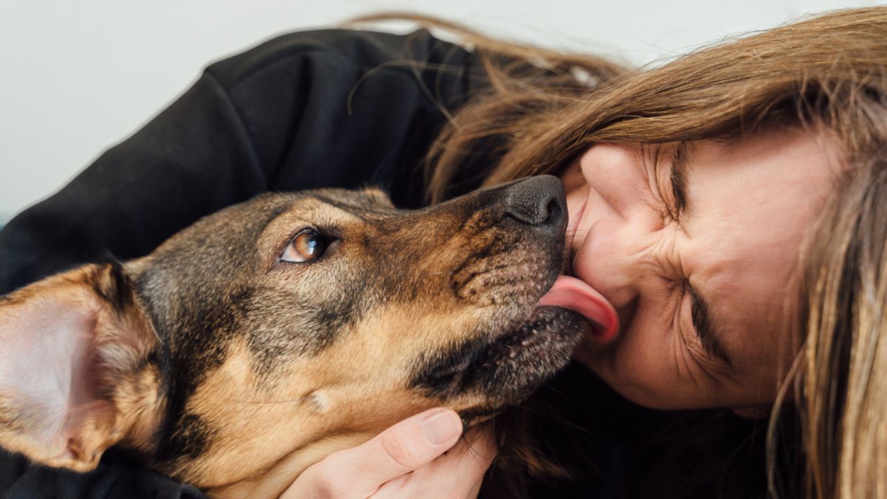 Pets ajudam na saúde mental? Confira o que dizem especialistas
