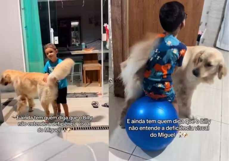 Cachorro golden usa o próprio corpo para proteger menino que nasceu cego