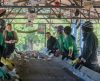 Catadores de Franca separam e vendem 190 toneladas/mês de papelão para a reciclagem - Jornal da Franca