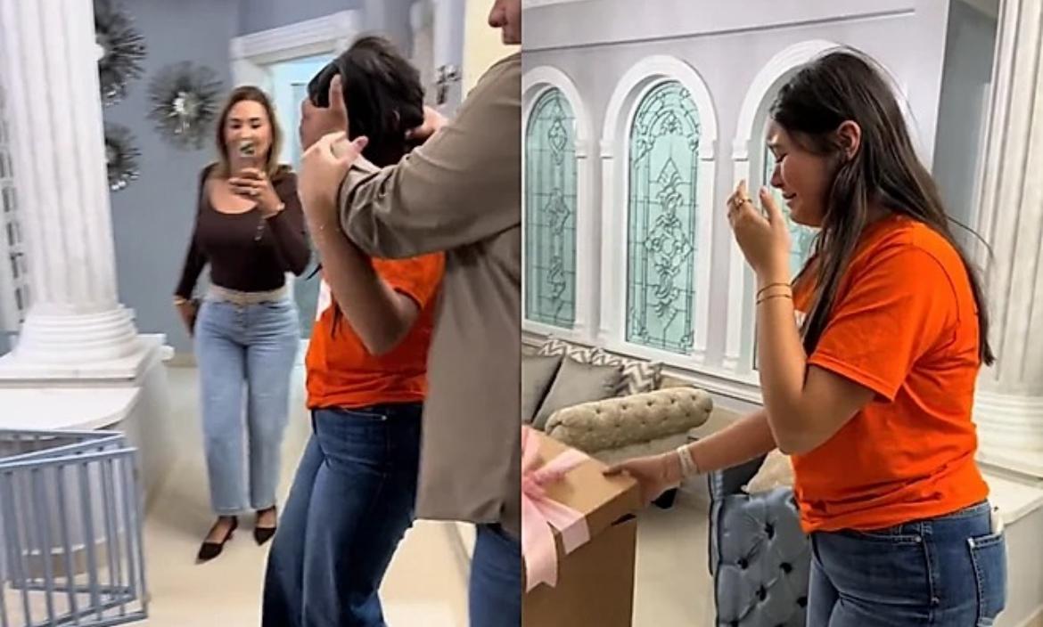 Pai traz caixa misteriosa e emoção toma conta quando filha vê rostinho do seu sonho