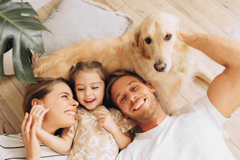 Veja algumas dicas essenciais para as famílias que pensam em adotar um pet