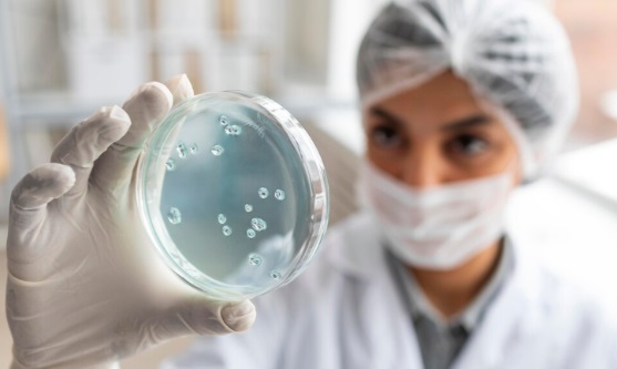 Bactérias intestinais podem ajudar a detectar tumores, diz estudo brasileiro