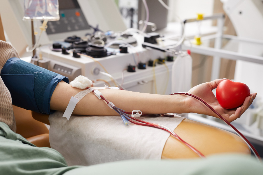 Doação de sangue: pesquisa mostra quem são os doadores e também os mitos e verdades