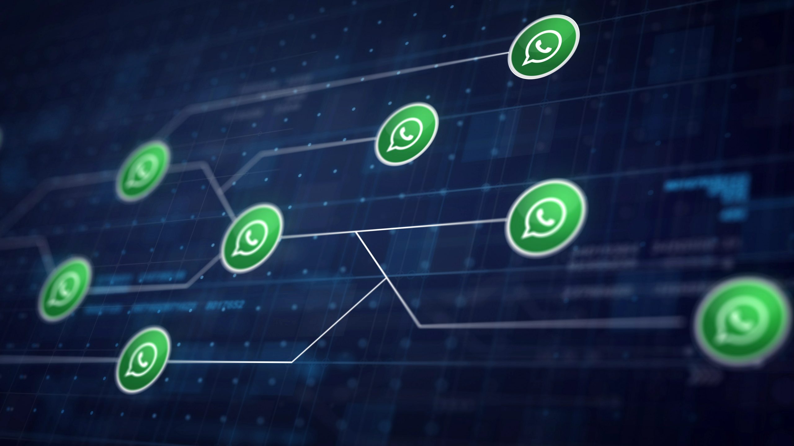 WhatsApp: a brecha que permitiu descobrir número de todos os usuários do app