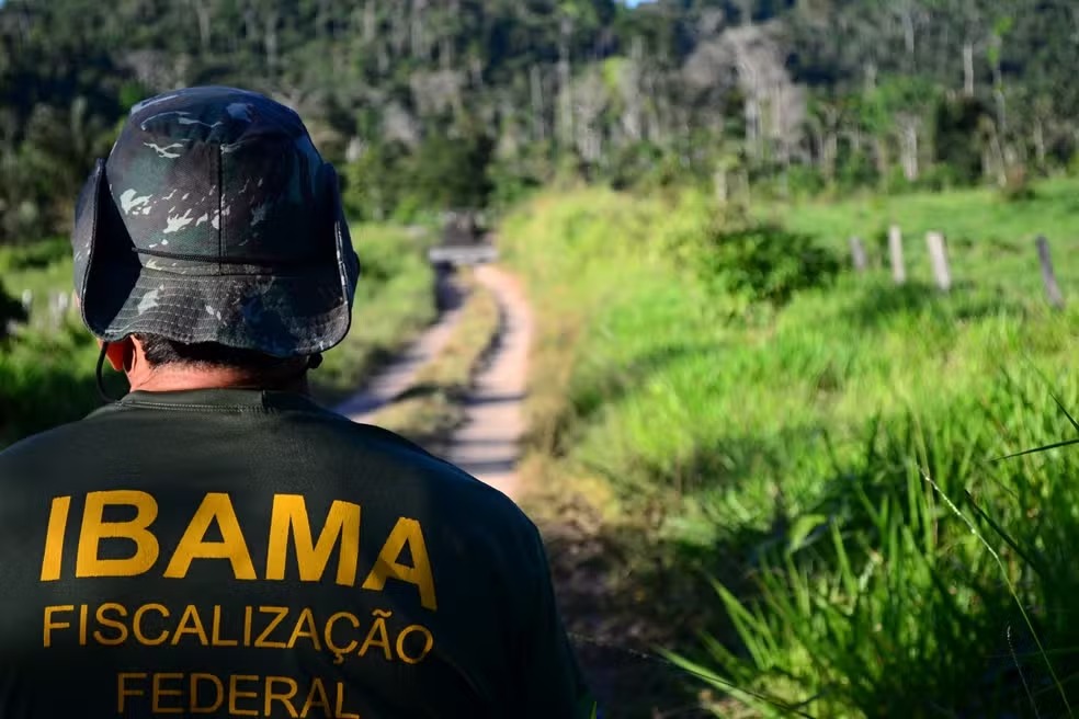 Incra e Ibama abrem inscrições para concursos com salários de até R$ 9.800