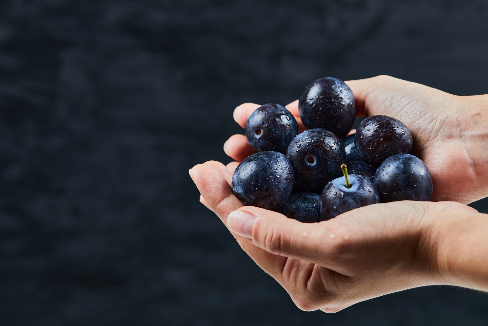 Jabuticaba: estudo científico avalia efeitos da fruta no apetite e na cognição