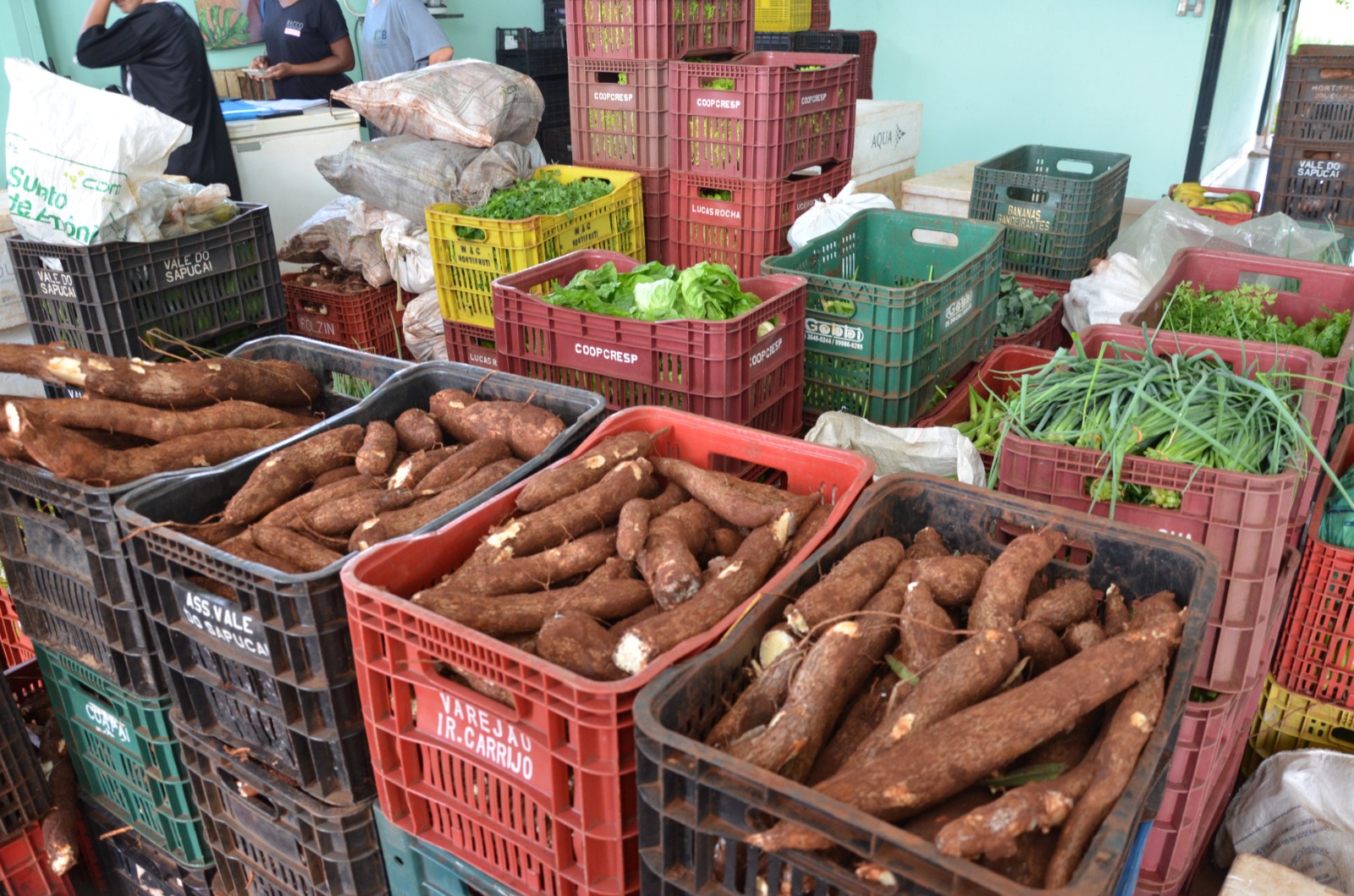 Banco de Alimentos amplia estrutura e reforça atendimento a famílias em Franca