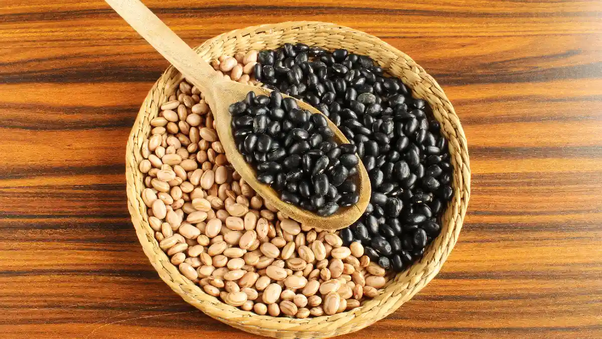 Qual feijão é mais nutritivo e saudável? Preto ou carioca?