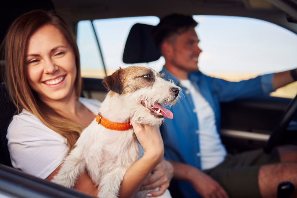 Quando descanso vira estresse: férias não planejadas podem ser um risco para animais