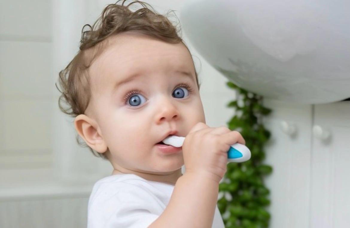 Primeiro dente, primeira escova: escovação infantil deve começar no 1º ano de vida