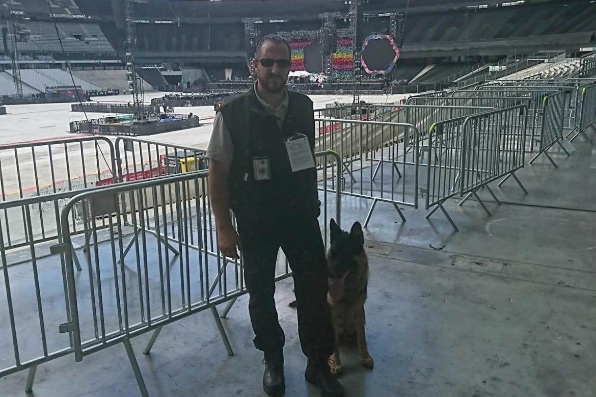 Como cães são preparados para detectar explosivos com precisão e controle absoluto