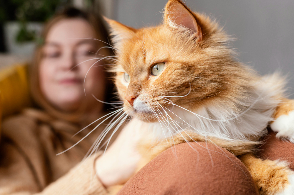 Podcast mostra que humanos e animais de estimação compartilham afeto e sentimentos.
