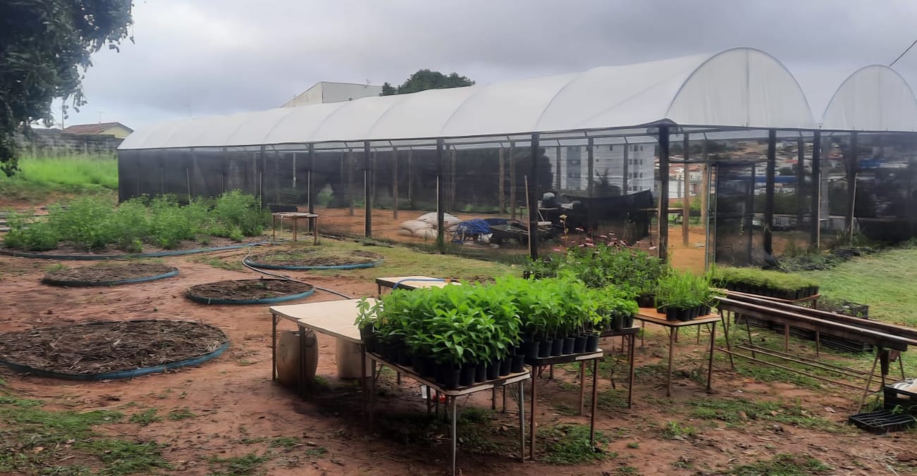 Horto Medicinal do Allan Kardec avança na estruturação e projeta abertura às visitas