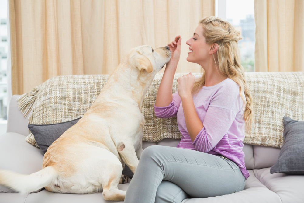 Veja o que significa falar com animais de estimação como se fossem pessoas