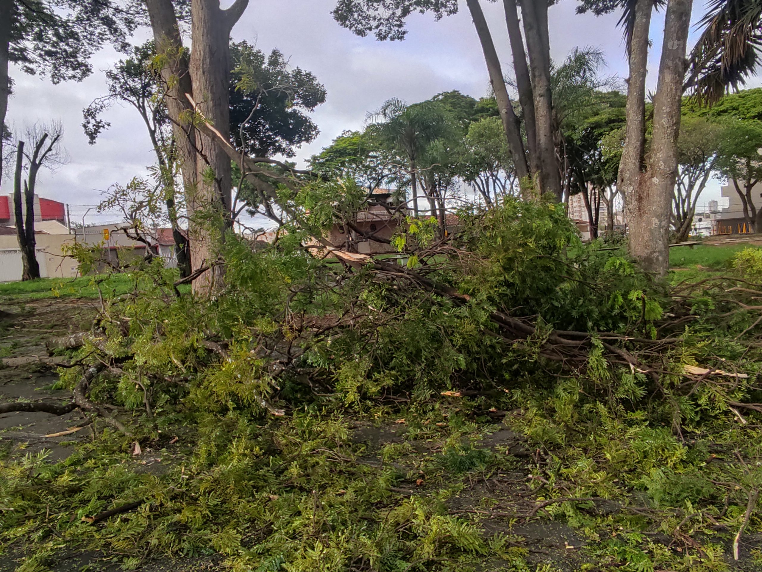 Temporal passou por Franca na segunda e deixou rastro de sujeira e medo nas pessoas
